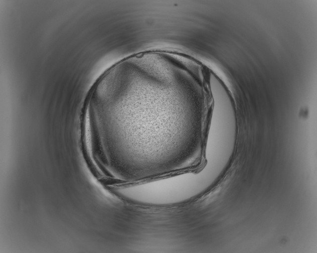 X0000091950999200709271322