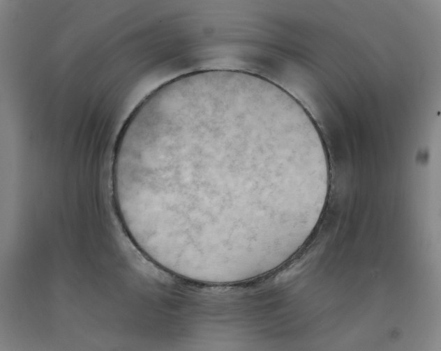 X0000091951000200709271322