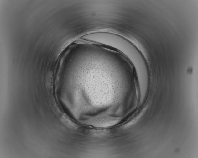 X0000091951001200709271322