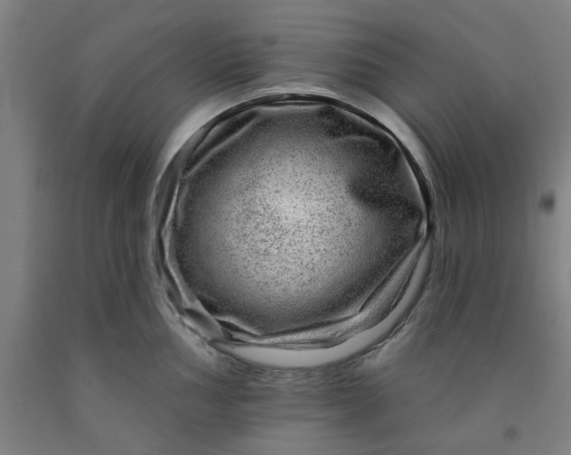 X0000091951002200709271322