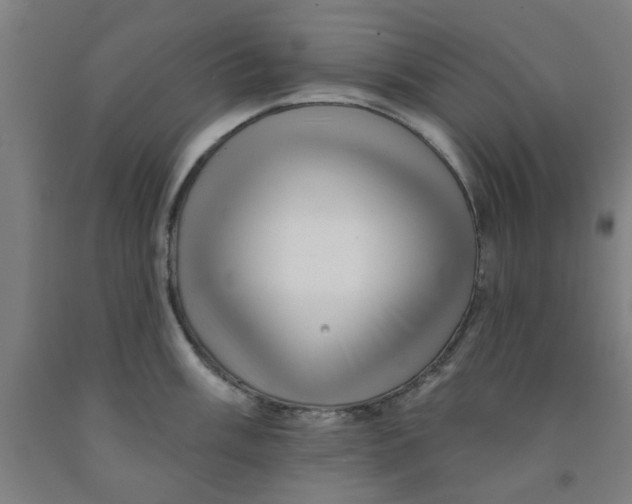 X0000091951003200709271322