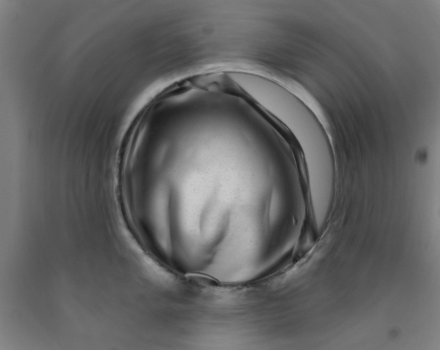 X0000091951005200709271322