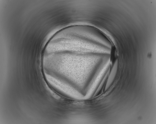 X0000091951006200709271322