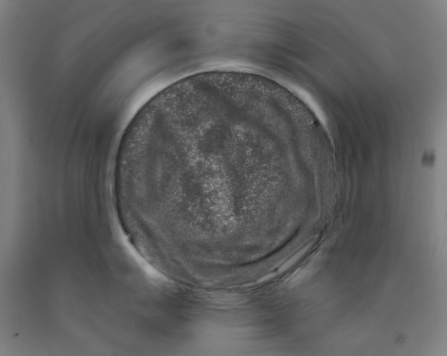 X0000091951007200709271322