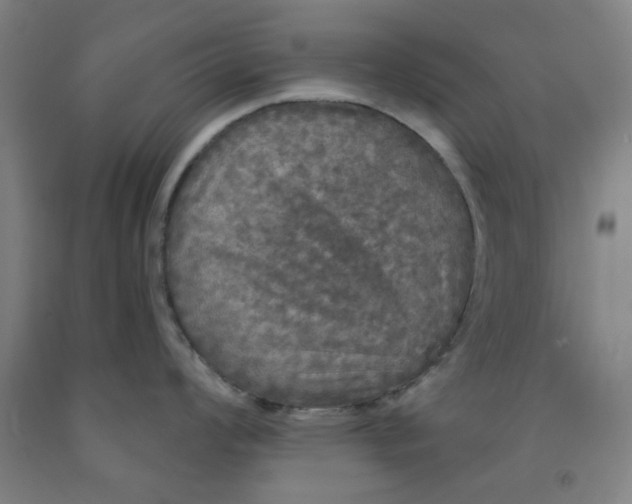 X0000091951008200709271322