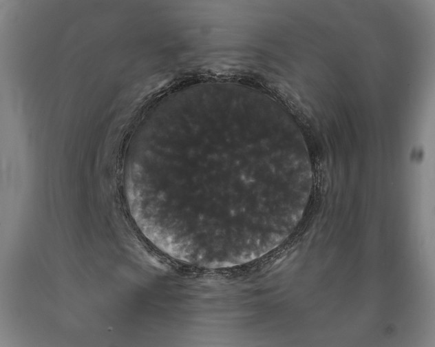 X0000091951009200709271321