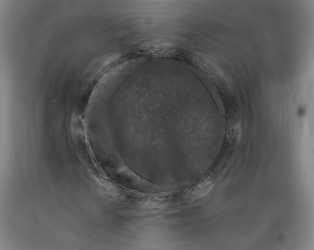 X0000091951010200709271321