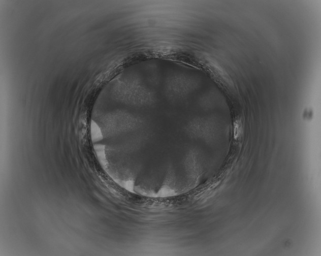 X0000091951011200709271321