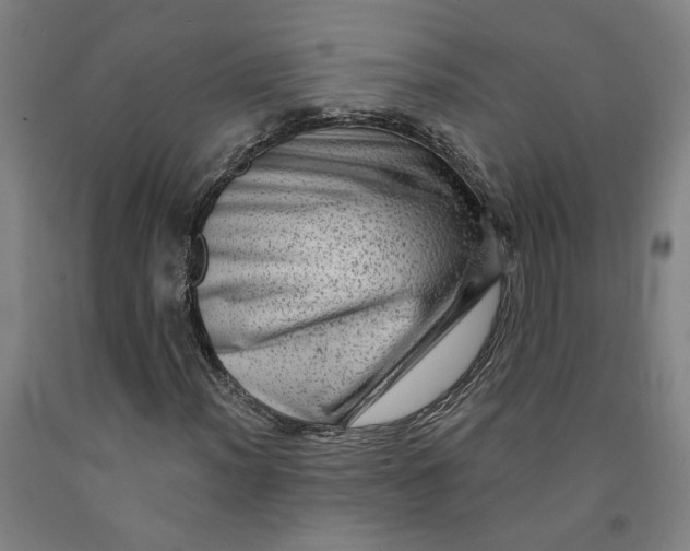 X0000091951012200709271321