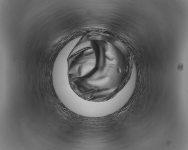 X0000091951014200709271321