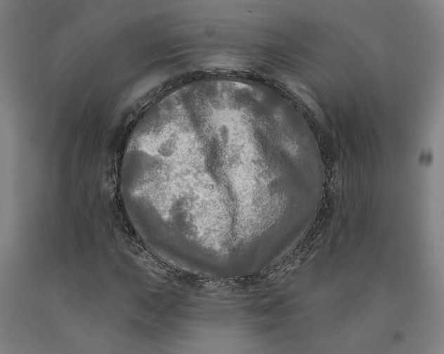 X0000091951015200709271321