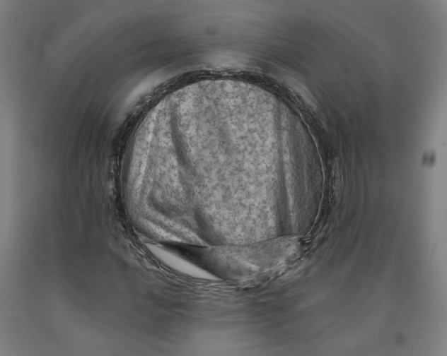 X0000091951016200709271321