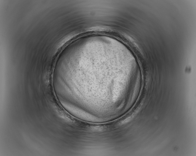 X0000091951017200709271321