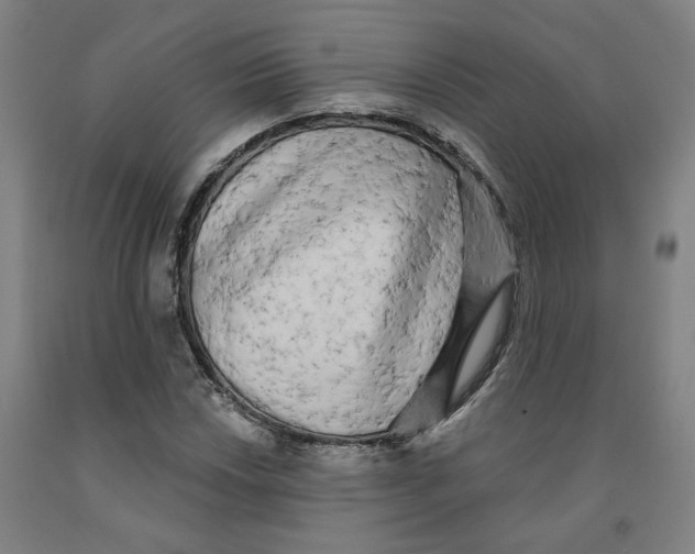 X0000091951018200709271321