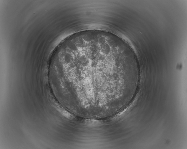 X0000091951019200709271321