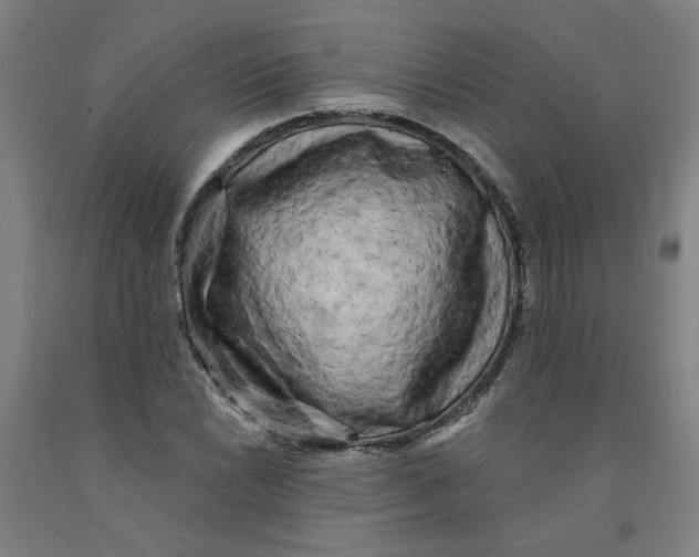 X0000091951022200709271322