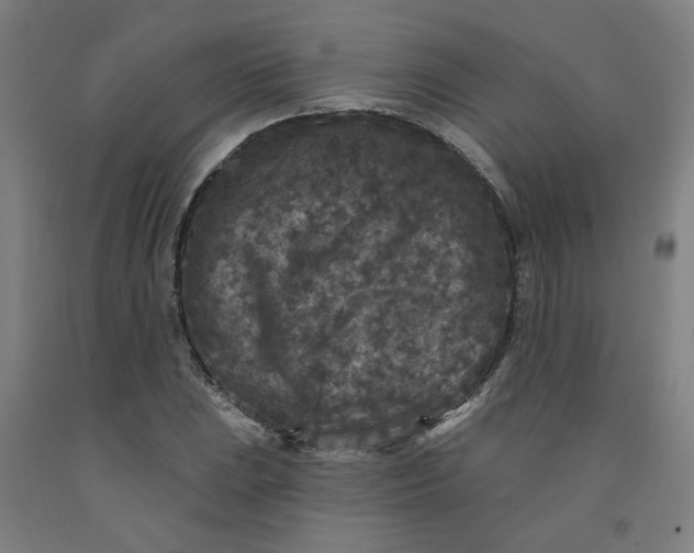 X0000091951023200709271322