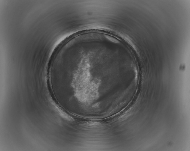 X0000091951024200709271322