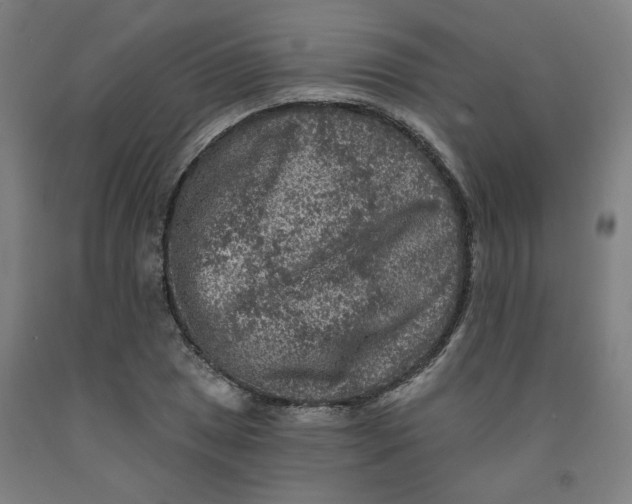 X0000091951025200709271322