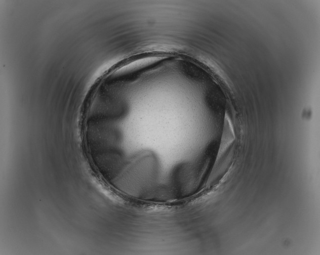 X0000091951026200709271322