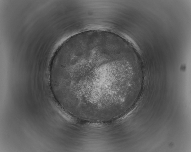 X0000091951027200709271322