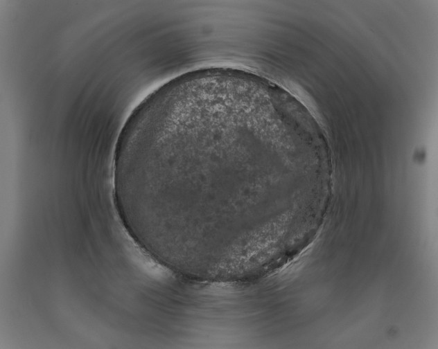 X0000091951028200709271322