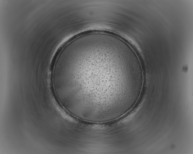 X0000091951029200709271322