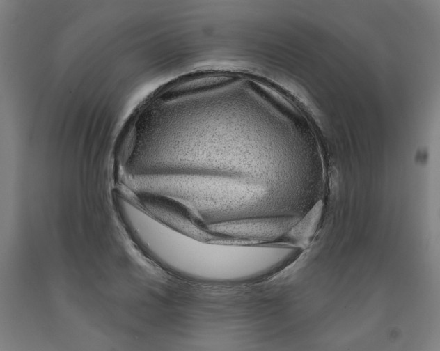 X0000091951030200709271322