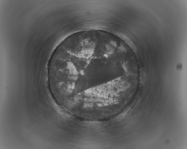 X0000091951031200709271322