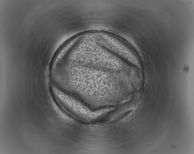 X0000091951032200709271322