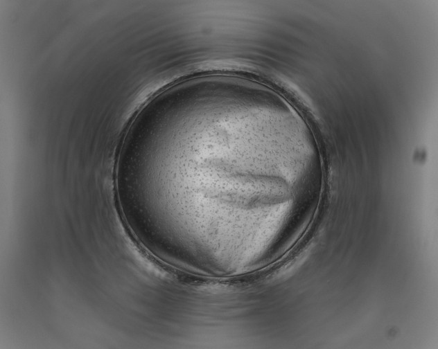 X0000091951033200709271322