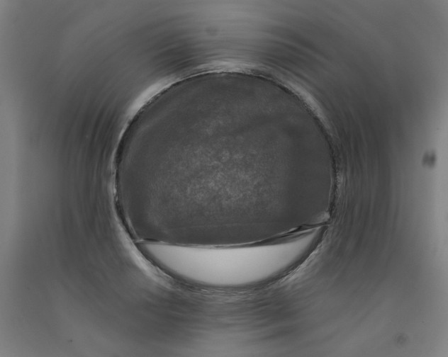 X0000091951034200709271322