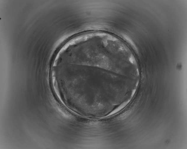 X0000091951035200709271322