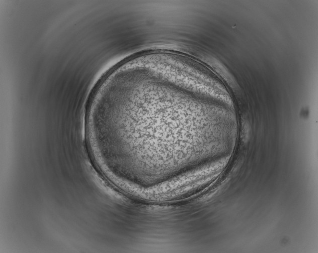 X0000091951036200709271322