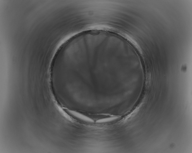 X0000091951037200709271322