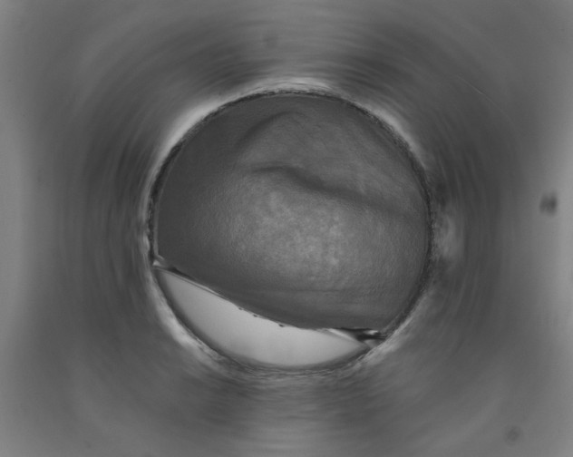 X0000091951038200709271322