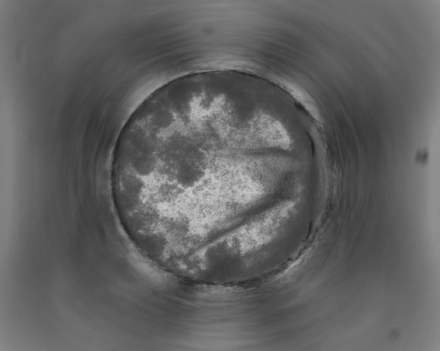 X0000091951039200709271322