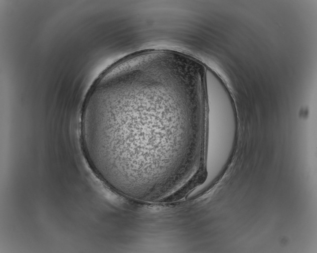 X0000091951040200709271322