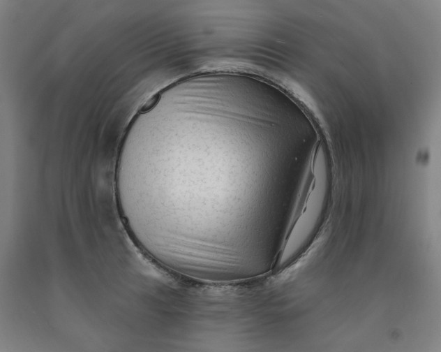 X0000091951041200709271322