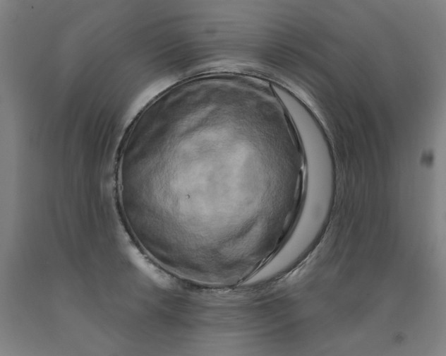 X0000091951042200709271322