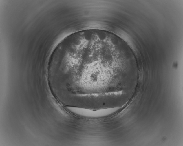 X0000091951043200709271322