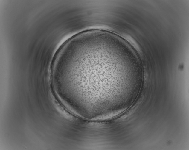 X0000091951044200709271322