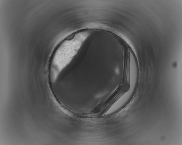 X0000091951045200709271322