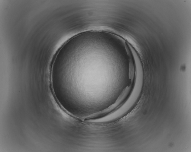 X0000091951046200709271322