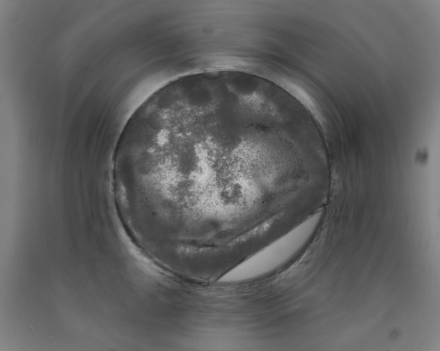 X0000091951047200709271322