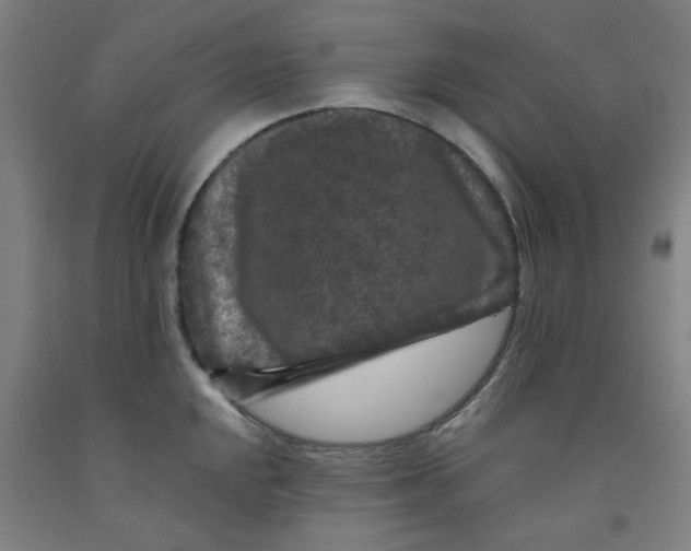 X0000091951048200709271322