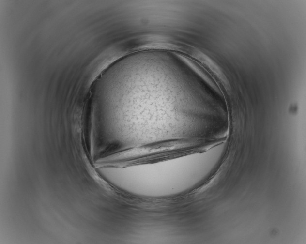 X0000091951049200709271322