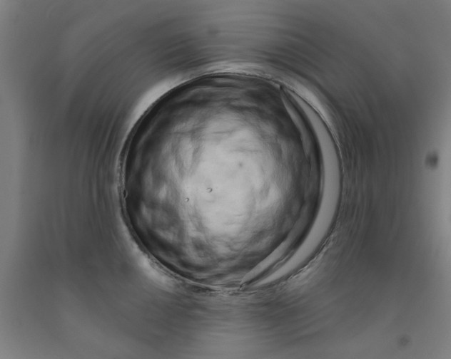 X0000091951050200709271322