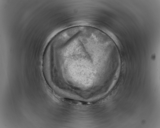 X0000091951051200709271322