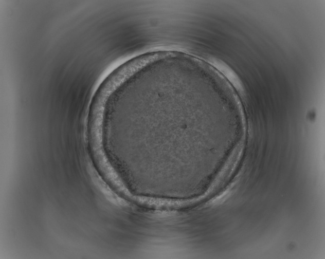 X0000091951052200709271322